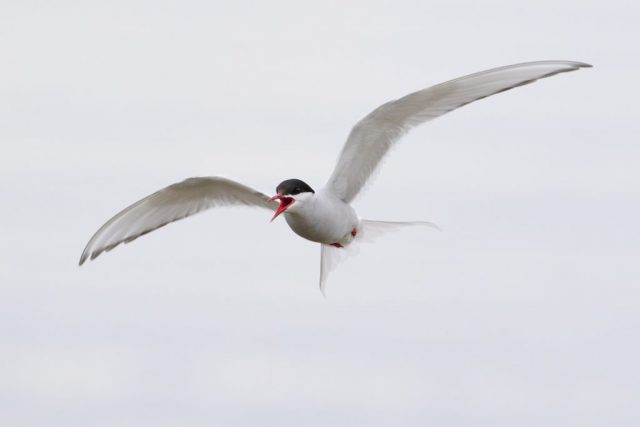 Jetzt besser verziehen