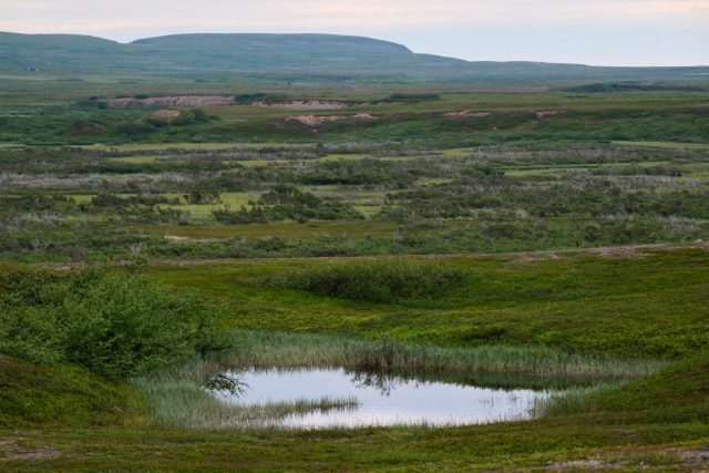 Biotop Varanger NP