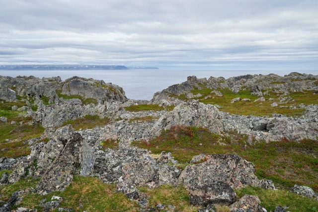 Biotop bei Hamningberg
