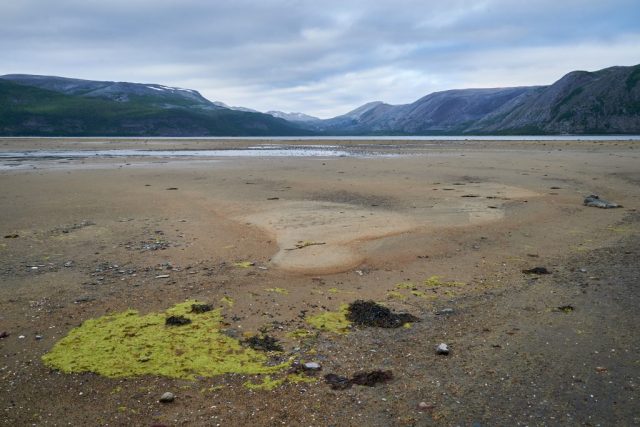 Naturschutzgebiet Tanamuningen