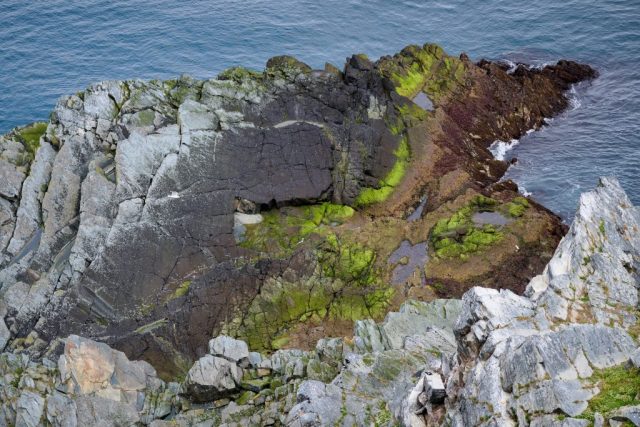 Küstenabschnitt auf Hornøya